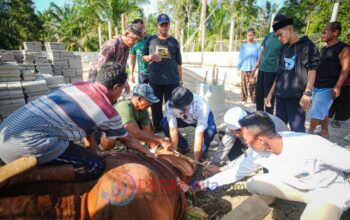 Sapi Kurban Presiden Prabowo 829 Kg Disembelih di Inuman — Warga Kuansing Bersyukur