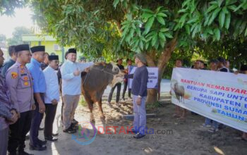 Sapi Kurban Presiden Prabowo Tiba di Batu Bara—Bupati Baharuddin: Bukti Negara Hadir untuk Rakyat Sapi Kurban Presiden Prabowo Tiba di Batu Bara—Bupati Baharuddin: Bukti Negara Hadir untuk Rakyat