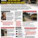 Truk Sawit Diduga Milik PT APN Menggila di Benai—Warga: “Jalan Kami Jadi Neraka Debu dan Ancaman Maut!”