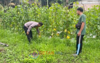 Polsek Dumai Barat Kawal Kebun Melon Warga — Ketahanan Pangan Bukit Datuk Makin Menguat