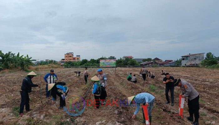 Polsek Dumai Kota Tanam Jagung 1 Hektar — Bukti Nyata Dukung Ketahanan Pangan Nasional