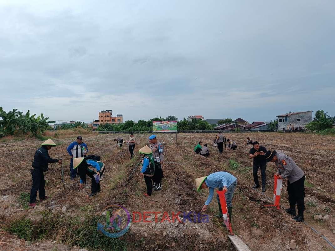 Polsek Dumai Kota Tanam Jagung 1 Hektar — Bukti Nyata Dukung Ketahanan Pangan Nasional