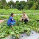 Polri Turun ke Kebun! Bhabinkamtibmas Bukit Timah Pantau Semangka Warga — Ketahanan Pangan Jadi Fokus Utama