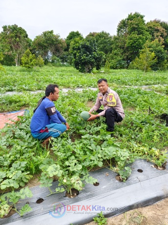 Polri Turun ke Kebun! Bhabinkamtibmas Bukit Timah Pantau Semangka Warga — Ketahanan Pangan Jadi Fokus Utama