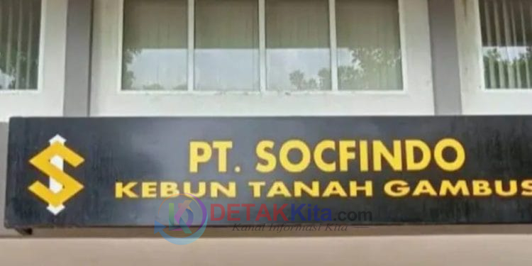 IWO Desak Pansus Plasma DPRD Batu Bara Panggil PT Socfindo — Dugaan Penyimpangan CPCL Mengemuka