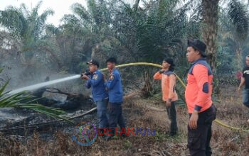 Kebakaran Hebat di Cerenti! Lahan Terbakar — Petugas Berjibaku Padamkan Api