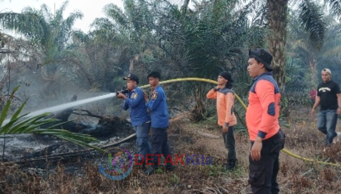 Kebakaran Hebat di Cerenti! Lahan Terbakar — Petugas Berjibaku Padamkan Api