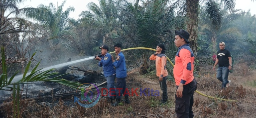 Kebakaran Hebat di Cerenti! Lahan Terbakar — Petugas Berjibaku Padamkan Api