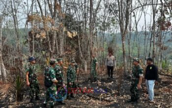 TNI Turun Langsung Cegah Karhutla di Kuansing — 7 Pamen Sisir Wilayah Rawan