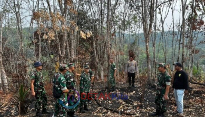TNI Turun Langsung Cegah Karhutla di Kuansing — 7 Pamen Sisir Wilayah Rawan