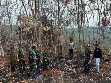 TNI Turun Langsung Cegah Karhutla di Kuansing — 7 Pamen Sisir Wilayah Rawan