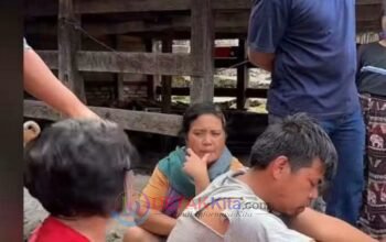DRAMA SAMOSIR! Polda Sitanggang Ditangkap Polres Kuansing — Keluarga Sempat Melawan