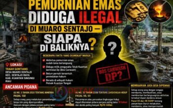 Pemurnian Emas Diduga Ilegal di Muaro Sentajo — Siapa di Baliknya?