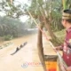 Jauh dari Sungai Kuantan — Pucuk Rantau Hidupkan Tradisi Selaju Sampan