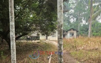 Warga Desak Polisi Usut Eti — Dugaan Pemurnian Emas Ilegal Disebut Lama Beroperasi di Kampung Baru Sentajo Warga Desak Polisi Usut Eti — Dugaan Pemurnian Emas Ilegal Disebut Lama Beroperasi di Kampung Baru Sentajo