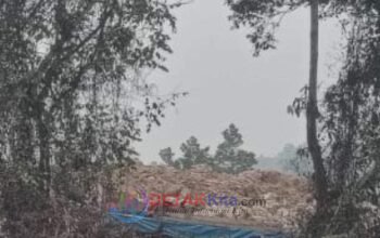 PETI Diduga Beroperasi di Depan Mapolsek Singingi Hilir — Warga Desak Polisi Bertindak