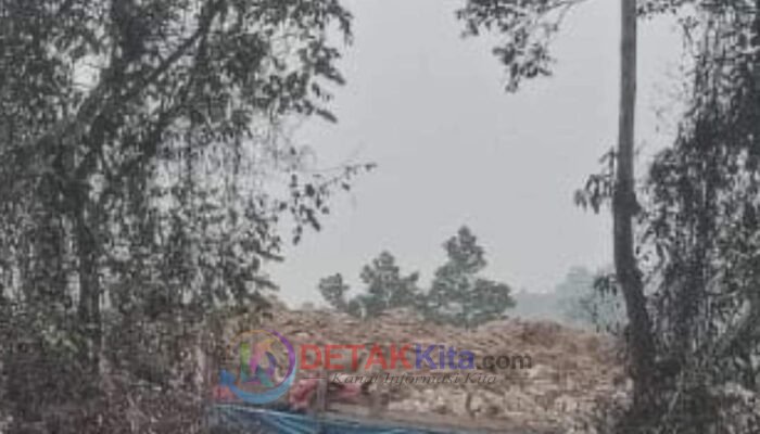 PETI Diduga Beroperasi di Depan Mapolsek Singingi Hilir — Warga Desak Polisi Bertindak