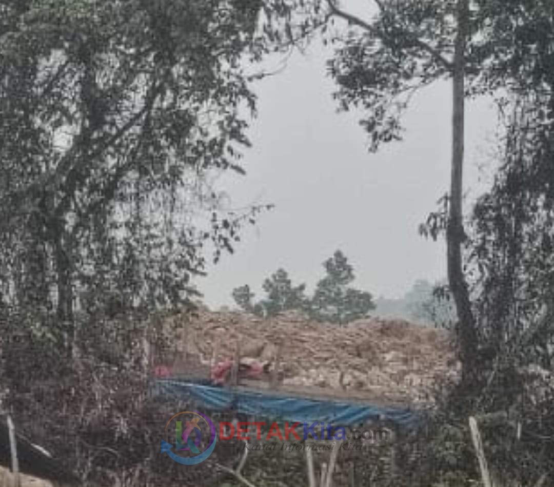 PETI Diduga Beroperasi di Depan Mapolsek Singingi Hilir — Warga Desak Polisi Bertindak