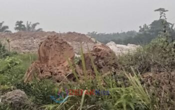 Diduga Pasok Excavator dan Peralatan PETI — Andre Jadi Sorotan di Singingi Hilir