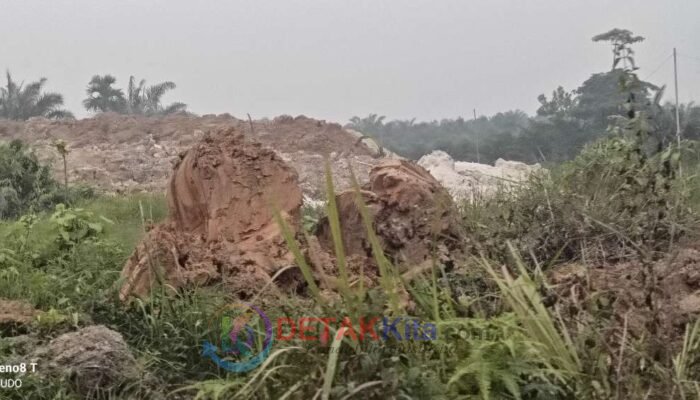 Diduga Pasok Excavator dan Peralatan PETI — Andre Jadi Sorotan di Singingi Hilir